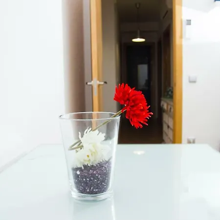Apartment Toletum *